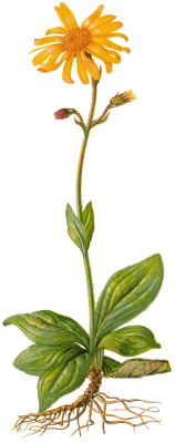 Praxislogo